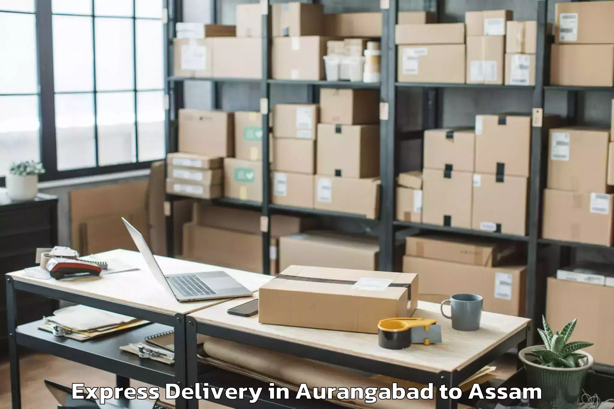 Leading Aurangabad to Silapathar Express Delivery Provider